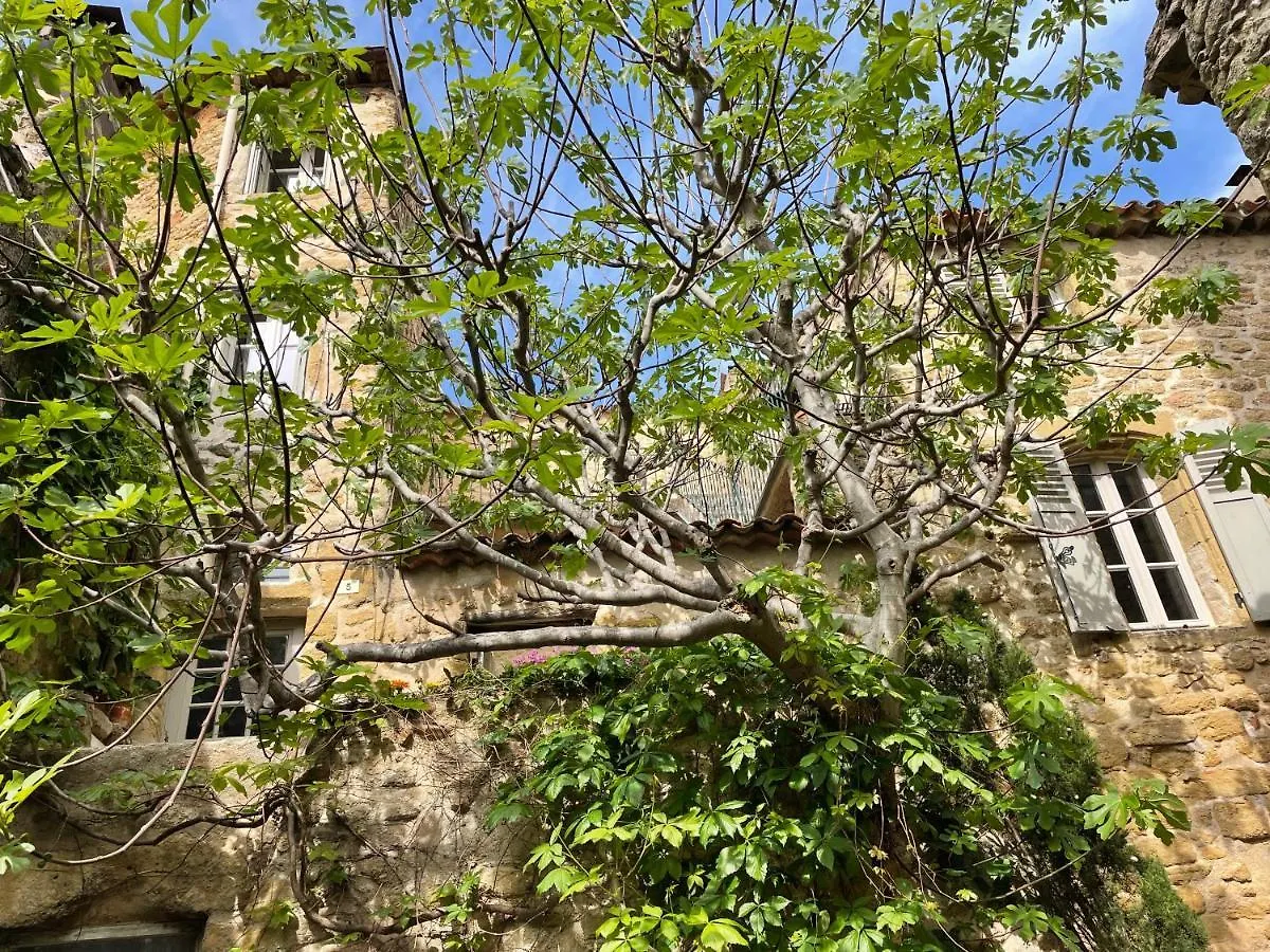 Le Petit Egregore, Patio Et Climatisation Lauris France